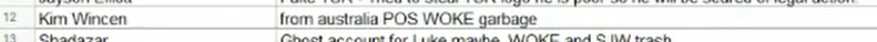 A screenshot of the video showing a line in the spreadsheet says "Kim Wincen" (me) is "from australia POS WOKE garbage".