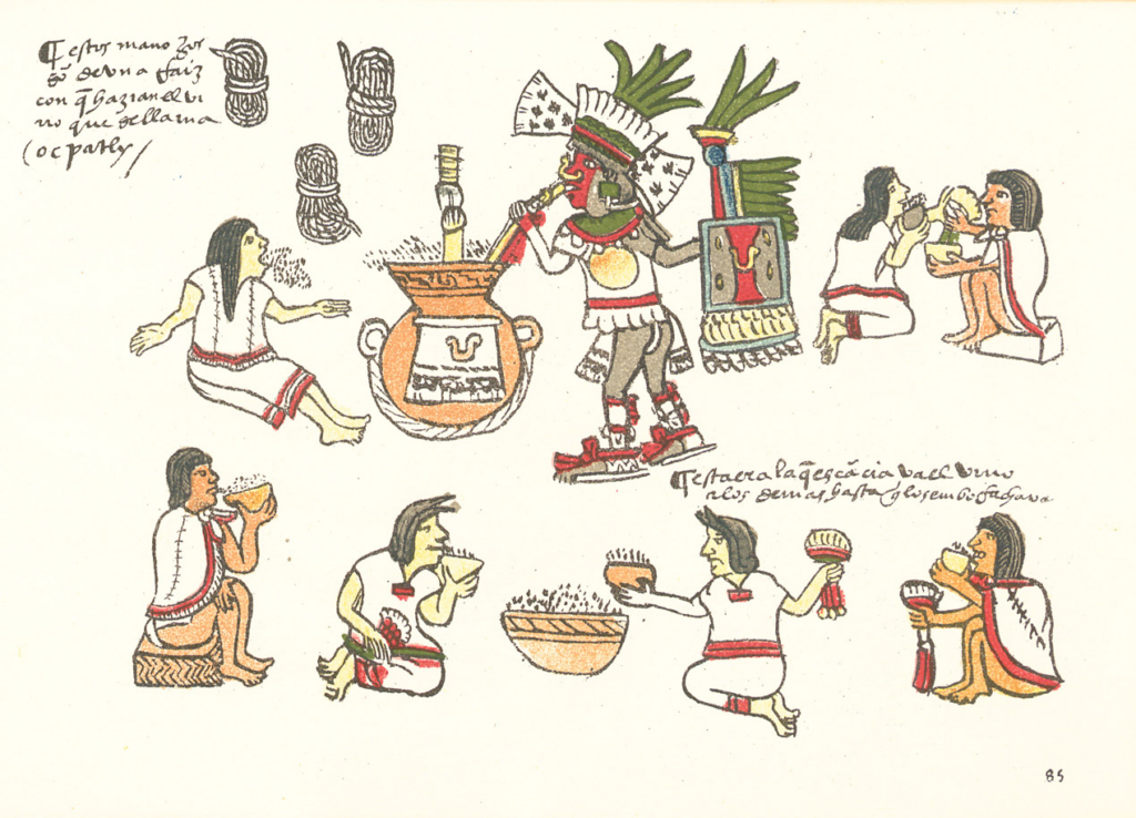 An ancient Aztec illustration depicting the creation, consumption and side effects of over consumption of their alcoholic beverage(s).